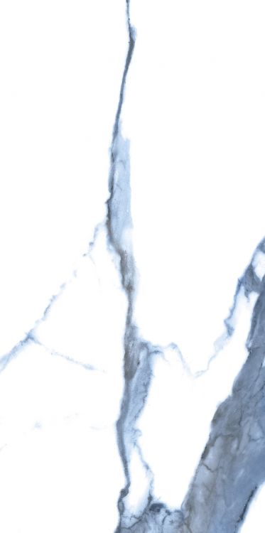 Calacatta Blue Polished 12 x 24